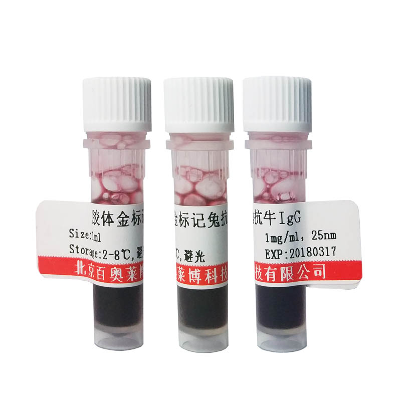 胶体金标记兔抗牛IgG(H+L)抗体图片